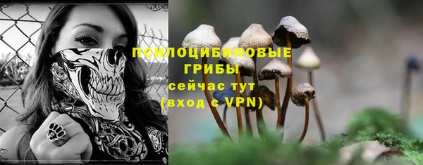 дурь Бронницы