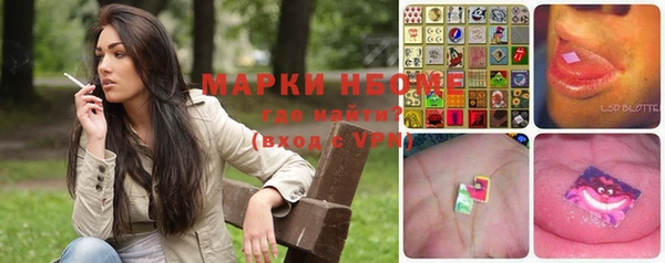 ешки Бородино
