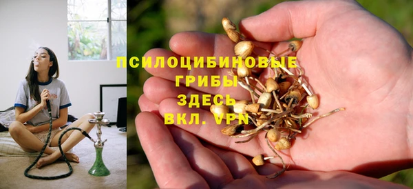 дурь Бронницы