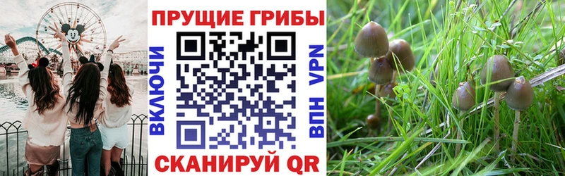 блэк спрут как зайти  Верхняя Салда  Псилоцибиновые грибы ЛСД 